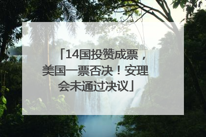 14国投赞成票，美国一票否决！安理会未通过决议